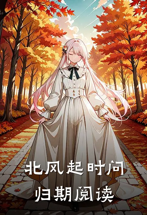 北风起时问归期阅读