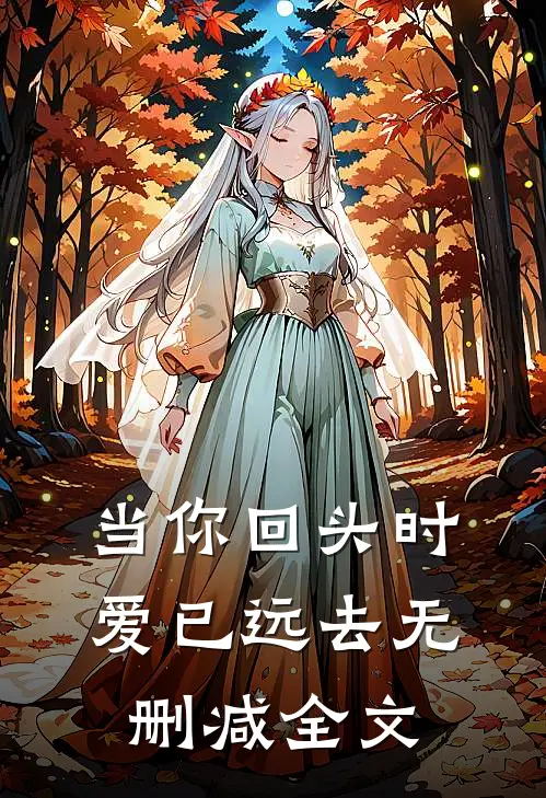 当你回头时爱已远去无删减全文