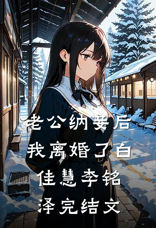老公纳妾后，我离婚了白佳慧李铭泽完结文