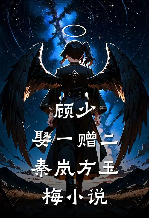 顾少，娶一赠二秦岚方玉梅小说