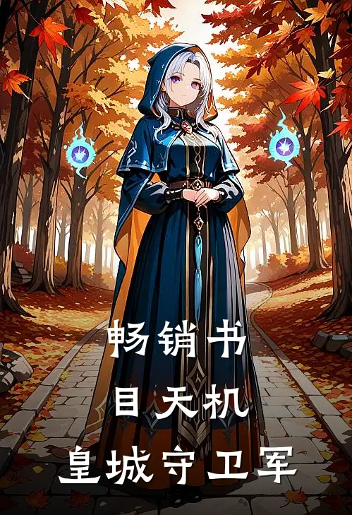 畅销书目天机：皇城守卫军