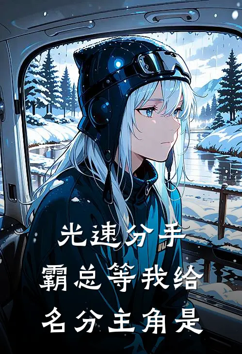 光速分手，霸总等我给名分主角是