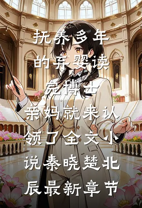抚养多年的弃婴读完博士，亲妈就来认领了全文小说秦晓楚北辰最新章节
