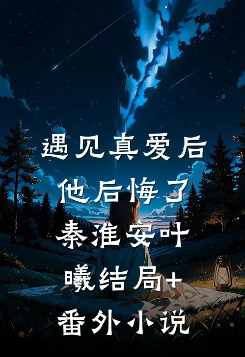遇见真爱后，他后悔了秦淮安叶曦结局+番外小说