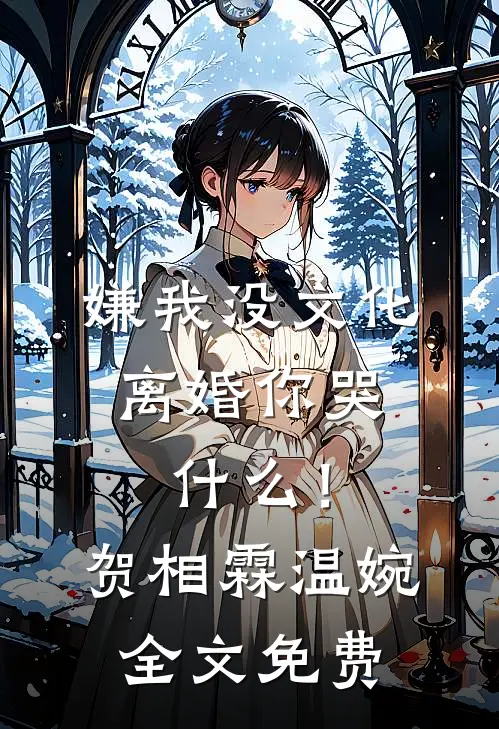 嫌我没文化，离婚你哭什么！贺相霖温婉全文免费