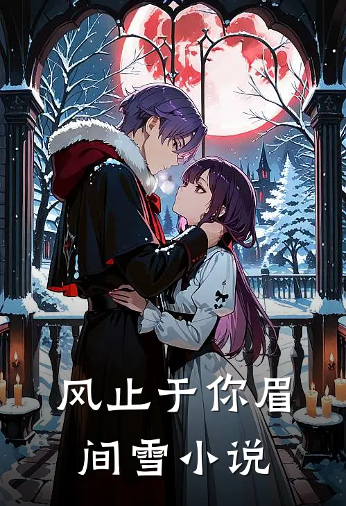 风止于你眉间雪小说