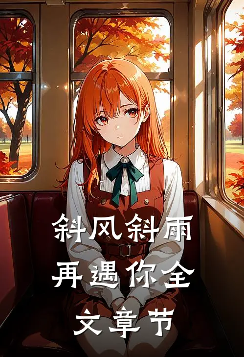 斜风斜雨再遇你全文章节
