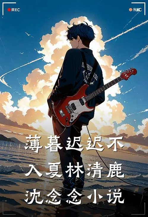 薄暮迟迟不入夏林清鹿沈念念小说