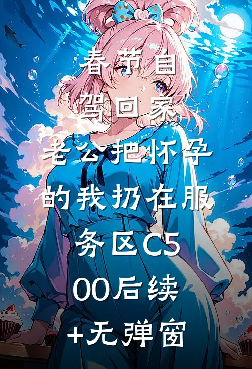 春节自驾回家，老公把怀孕的我扔在服务区C500后续+无弹窗