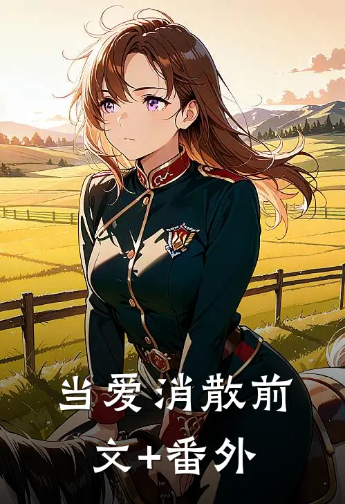 当爱消散前文+番外