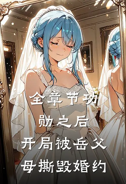 全章节功勋之后，开局被岳父母撕毁婚约