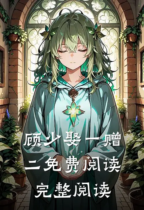 顾少娶一赠二免费阅读完整阅读