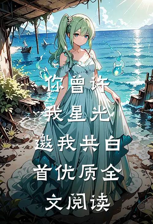 你曾许我星光，邀我共白首优质全文阅读