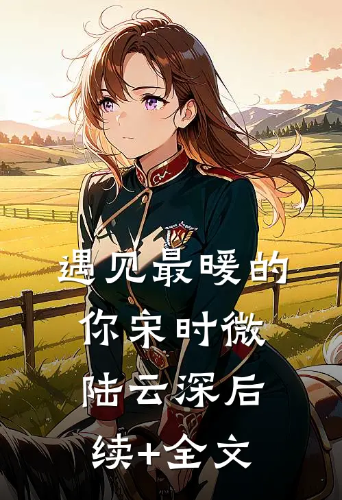 遇见最暖的你宋时微陆云深后续+全文