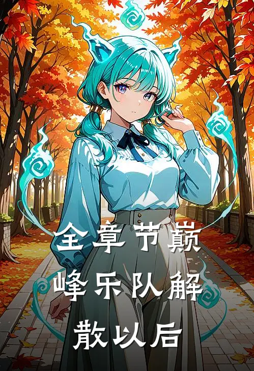 全章节巅峰乐队解散以后