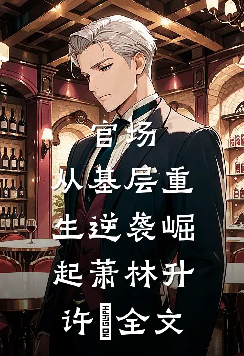 官场：从基层重生逆袭崛起萧林升许喆全文