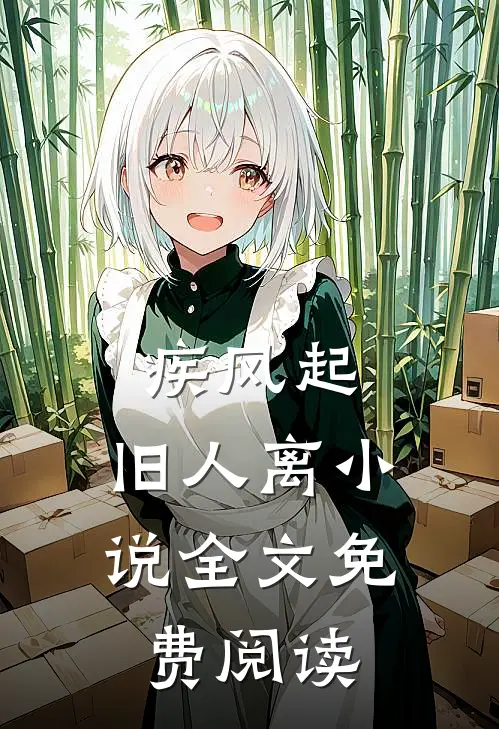 疾风起，旧人离小说全文免费阅读
