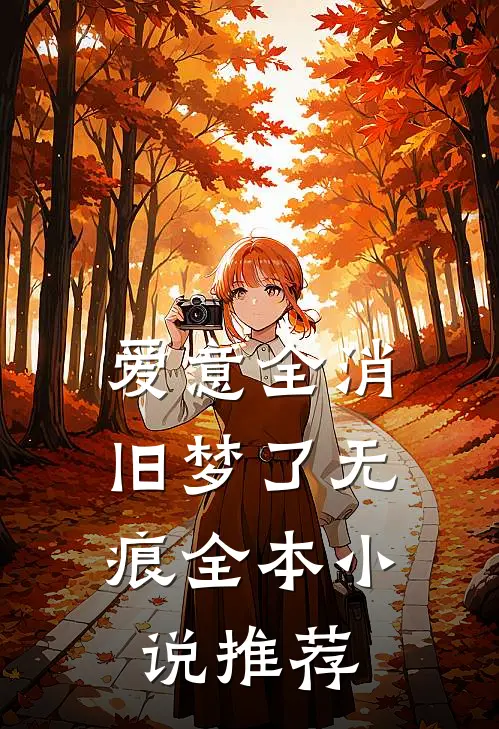 爱意全消，旧梦了无痕全本小说推荐