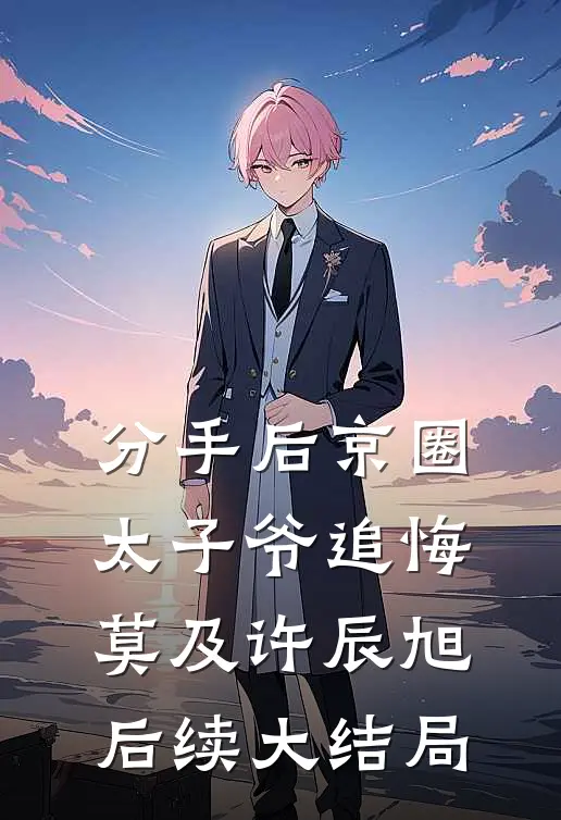 分手后京圈太子爷追悔莫及许辰旭后续大结局