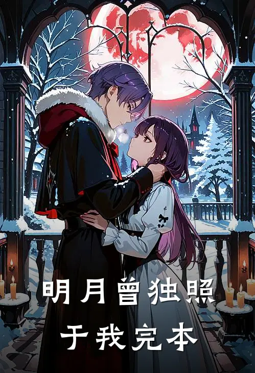 明月曾独照于我完本