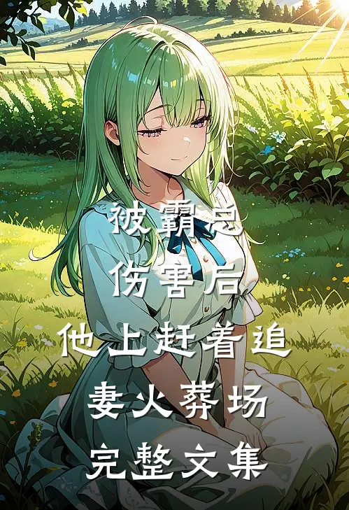被霸总伤害后，他上赶着追妻火葬场完整文集