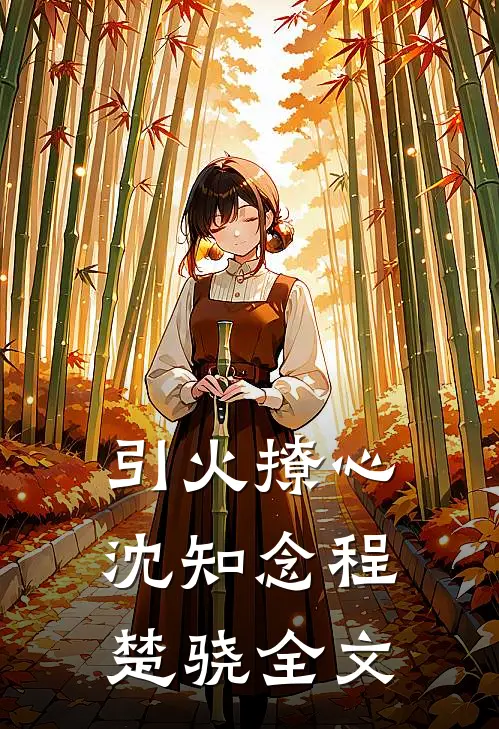 引火撩心沈知念程楚骁全文