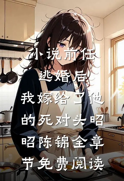 小说前任逃婚后，我嫁给了他的死对头昭昭陈锦全章节免费阅读