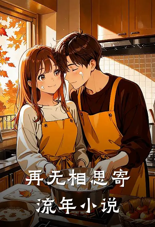 再无相思寄流年小说