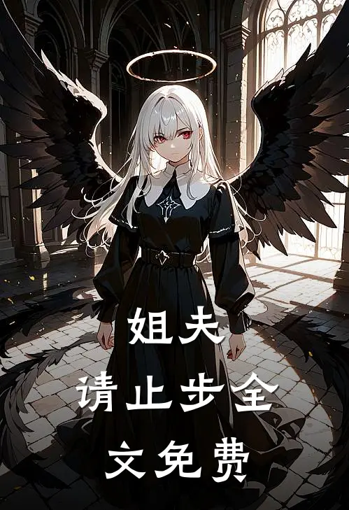 姐夫，请止步全文免费