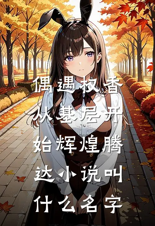 偶遇权香，从基层开始辉煌腾达小说叫什么名字