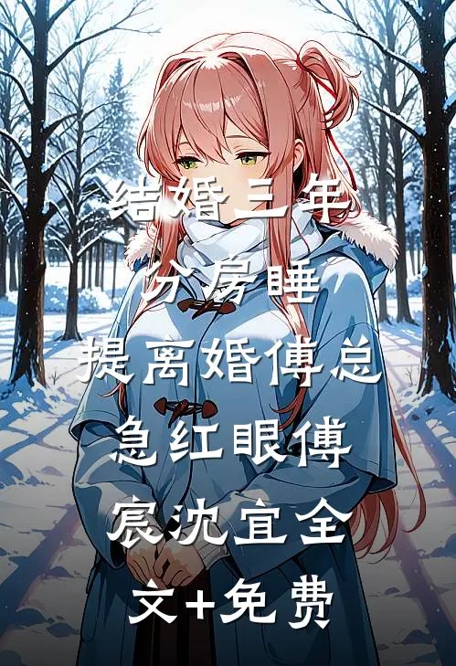结婚三年分房睡，提离婚傅总急红眼傅宸沈宜全文+免费