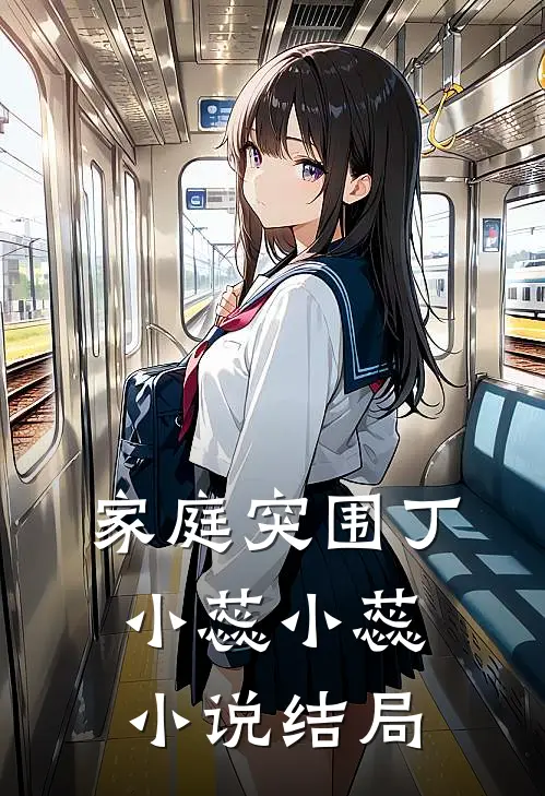 家庭突围丁小蕊小蕊小说结局