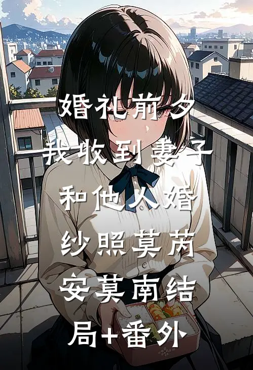 婚礼前夕，我收到妻子和他人婚纱照莫芮安莫南结局+番外