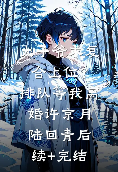 太子爷求复合上位？排队等我离婚许京月陆回青后续+完结