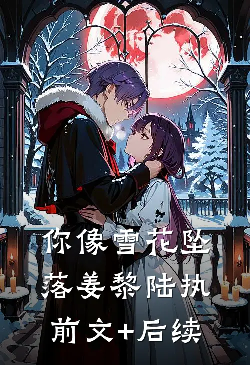 你像雪花坠落姜黎陆执前文+后续