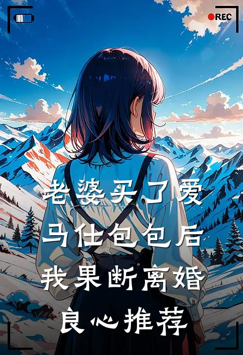 老婆买了爱马仕包包后，我果断离婚良心推荐