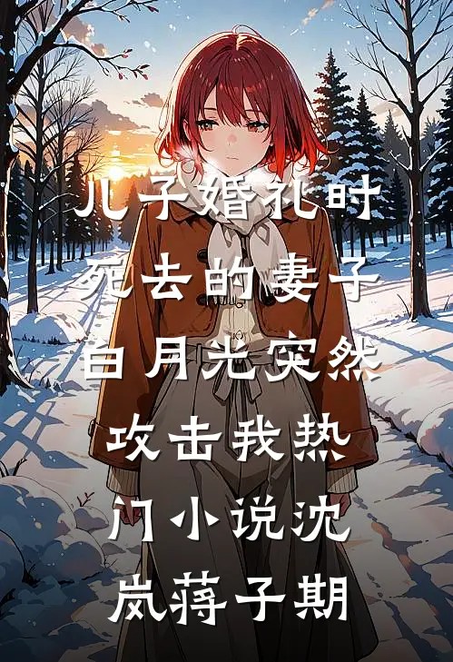 儿子婚礼时，死去的妻子白月光突然攻击我热门小说沈岚蒋子期