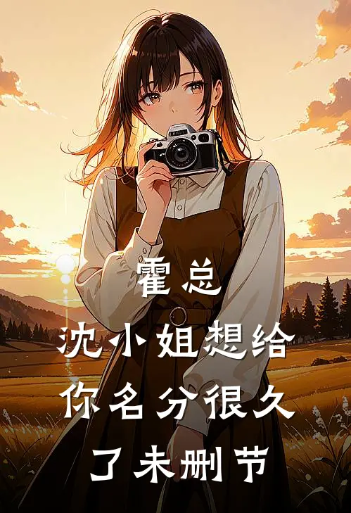 霍总，沈小姐想给你名分很久了未删节