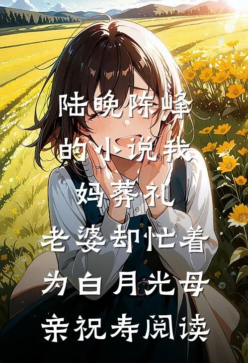 陆晚陈峰的小说我妈葬礼，老婆却忙着为白月光母亲祝寿阅读