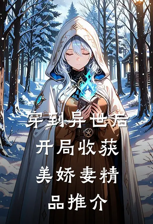 穿到异世后，开局收获美娇妻精品推介