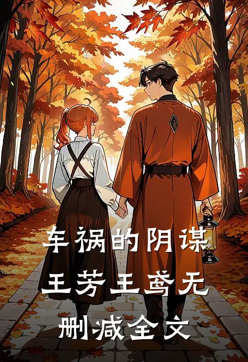 车祸的阴谋王芳王鸢无删减全文