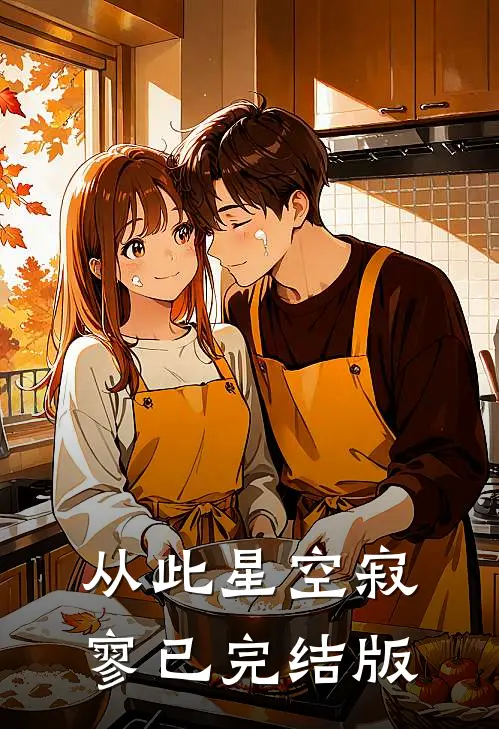 从此星空寂寥已完结版