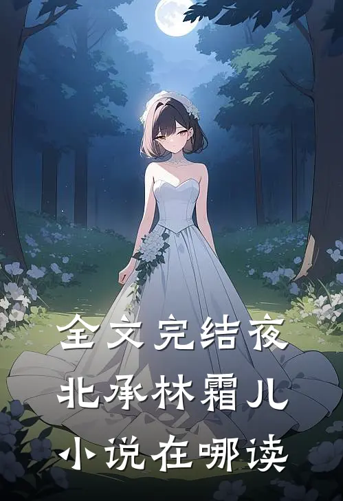 全文完结夜北承林霜儿小说在哪读