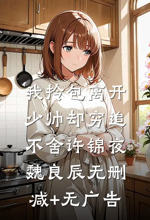 我拎包离开，少帅却穷追不舍许锦夜魏良辰无删减+无广告