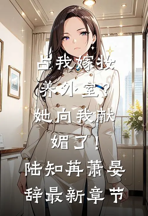 占我嫁妆养外室？她向我献媚了！陆知苒萧晏辞最新章节