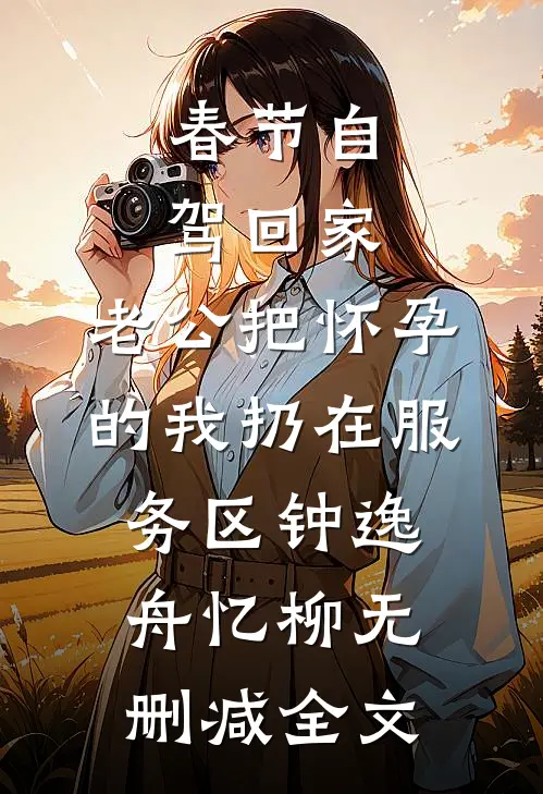 春节自驾回家，老公把怀孕的我扔在服务区钟逸舟忆柳无删减全文