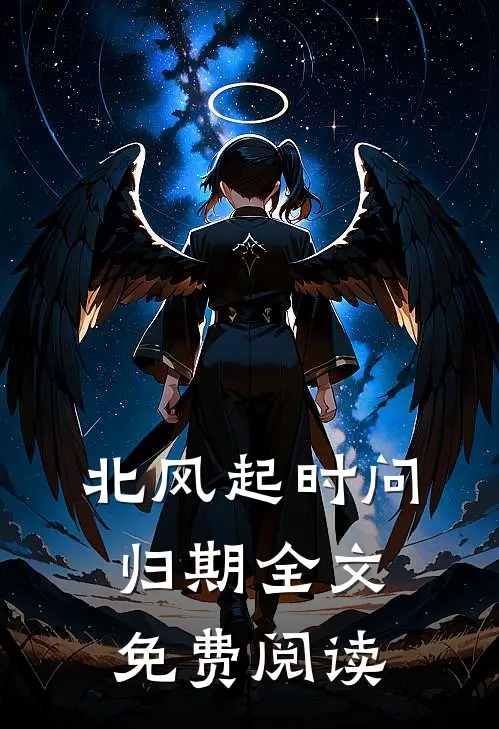 北风起时问归期全文免费阅读