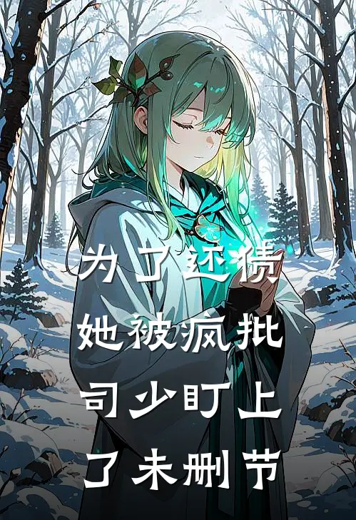 为了还债，她被疯批司少盯上了未删节