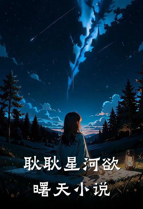 耿耿星河欲曙天小说