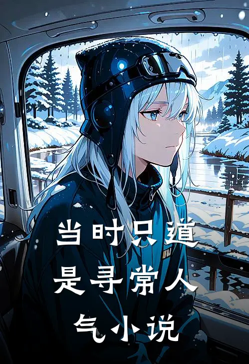 当时只道是寻常人气小说